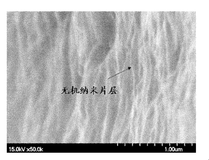 Lamellar ordered hybrid coating film and preparation method thereof