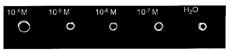 Intelligent bending double hydrogel for visual detection of heavy metal ions and preparation method and application thereof