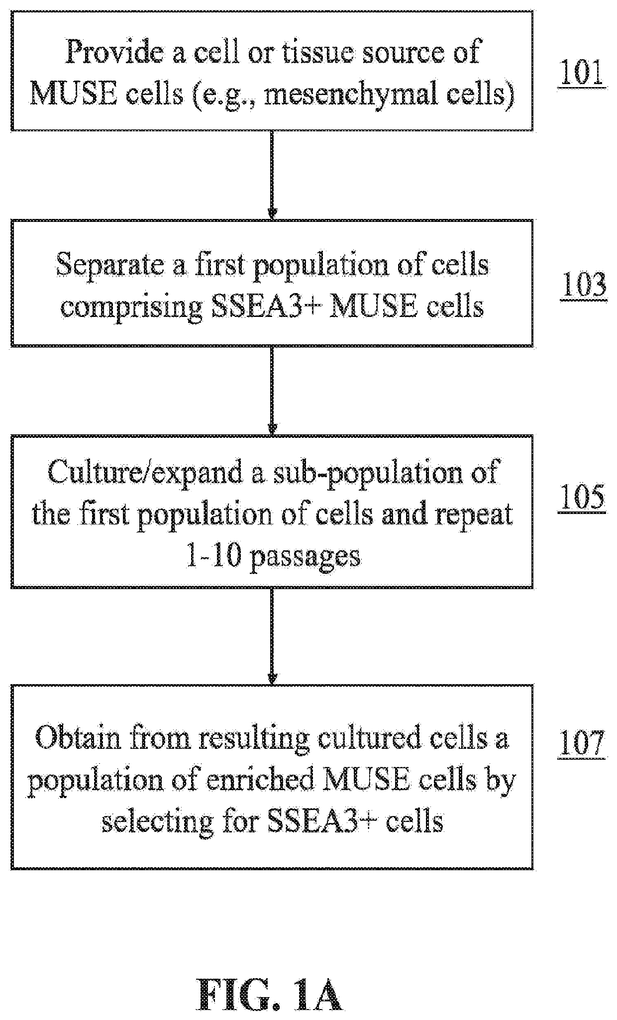 Methods for enriching populations of cells