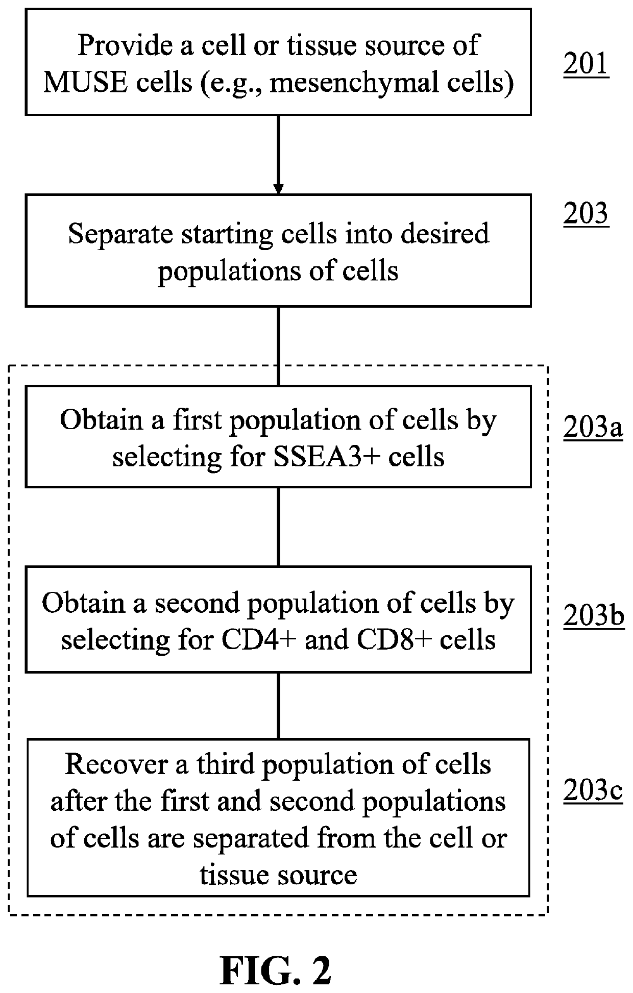 Methods for enriching populations of cells