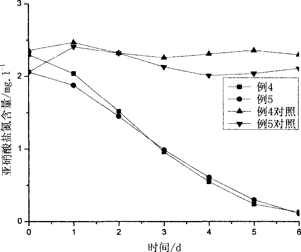 Process for degrading cultivation waste water nitrite using immobilized nitrifying bacteria