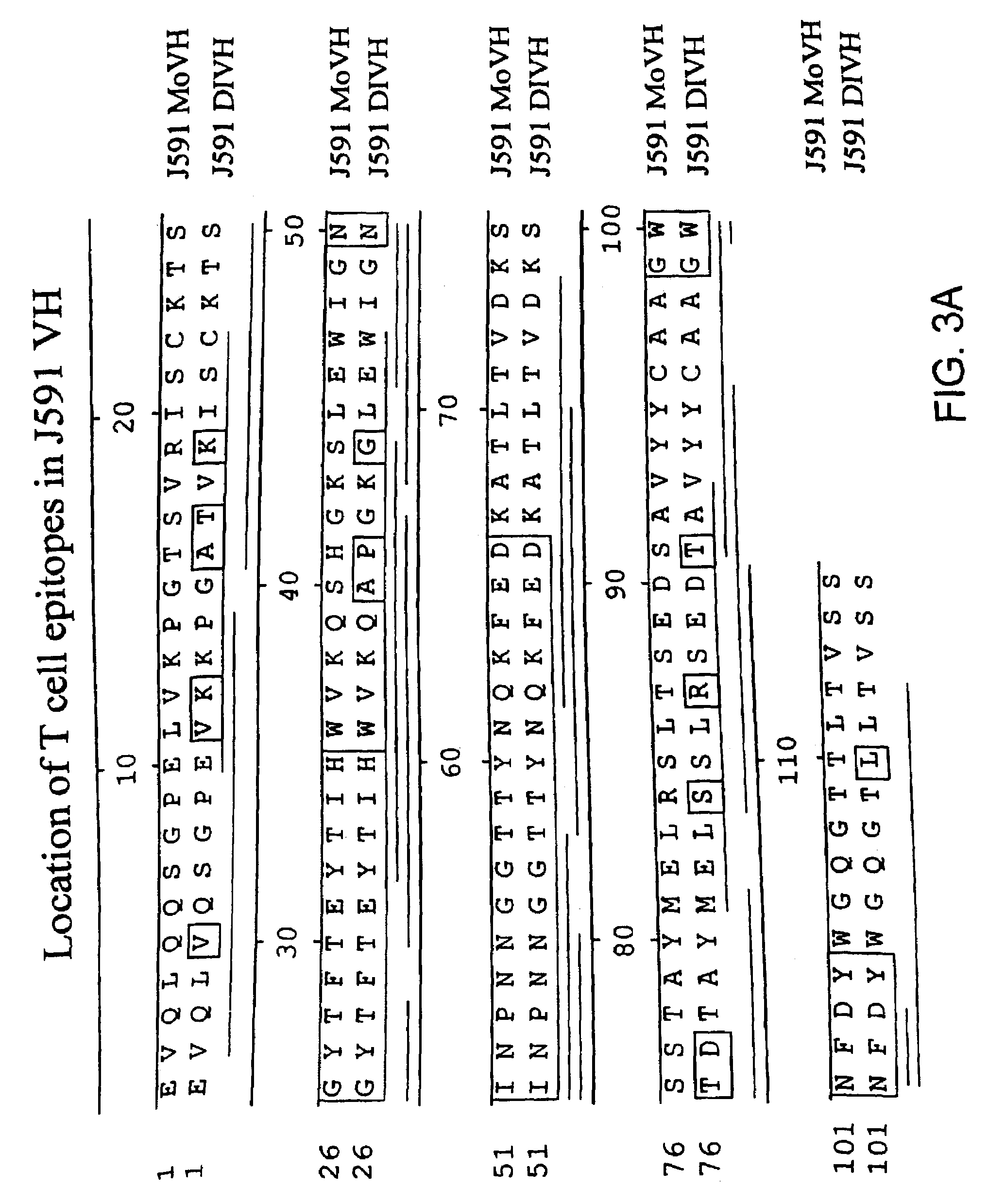 Methods of treating prostate cancer with anti-prostate specific membrane antigen antibodies