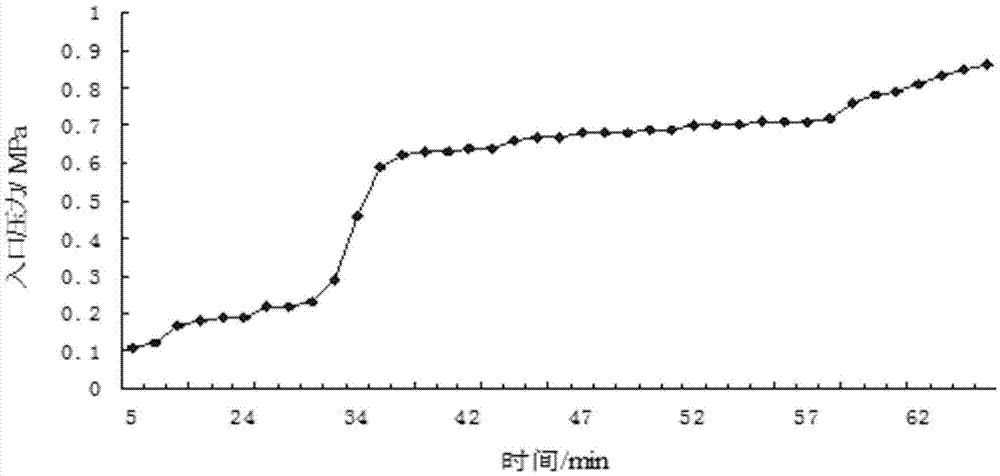 Functional desmosome temporary plugging agent and preparation method thereof