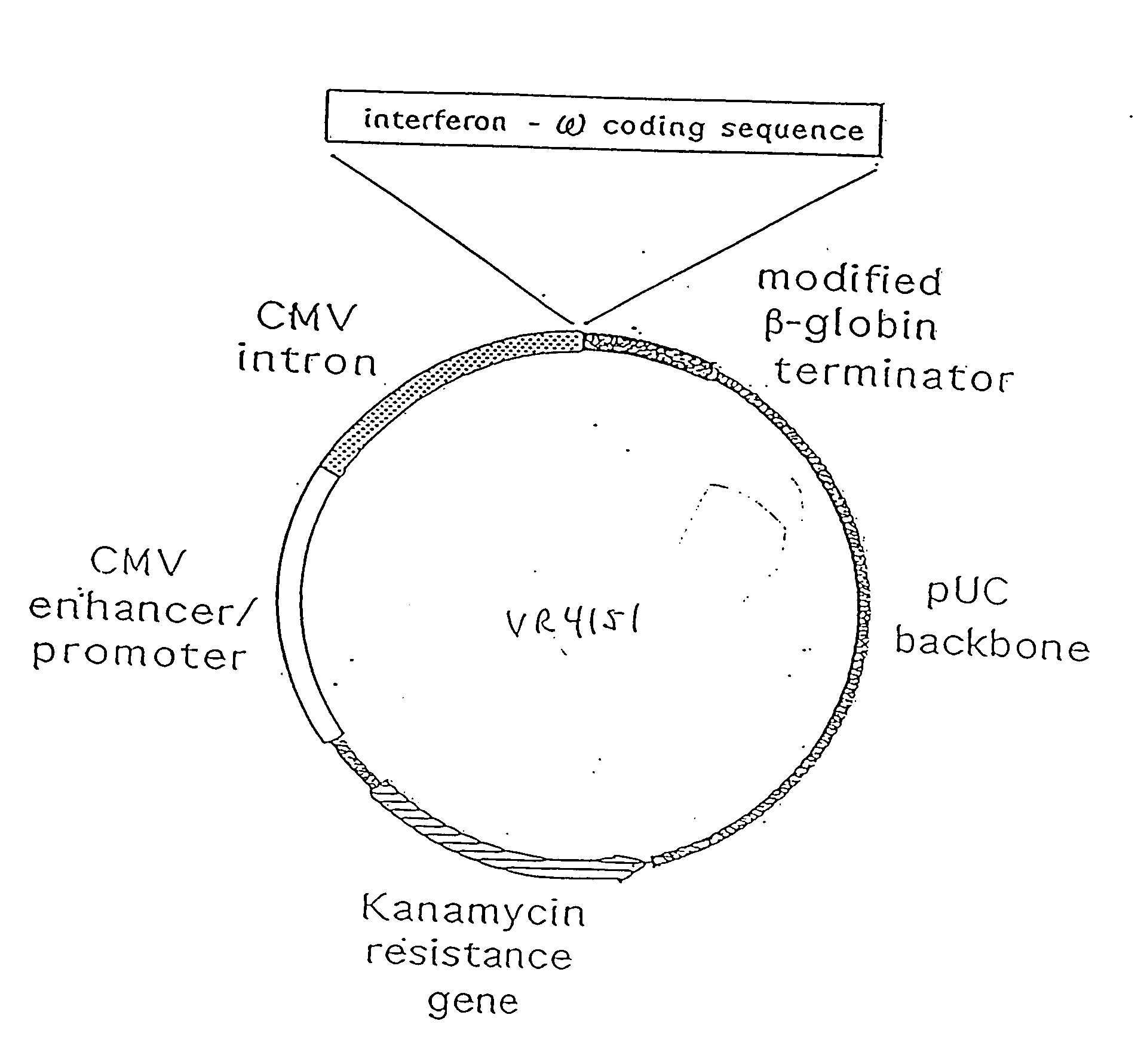 Treatment of cancer using cytokine-expressing polynucleotides and compositions therefor