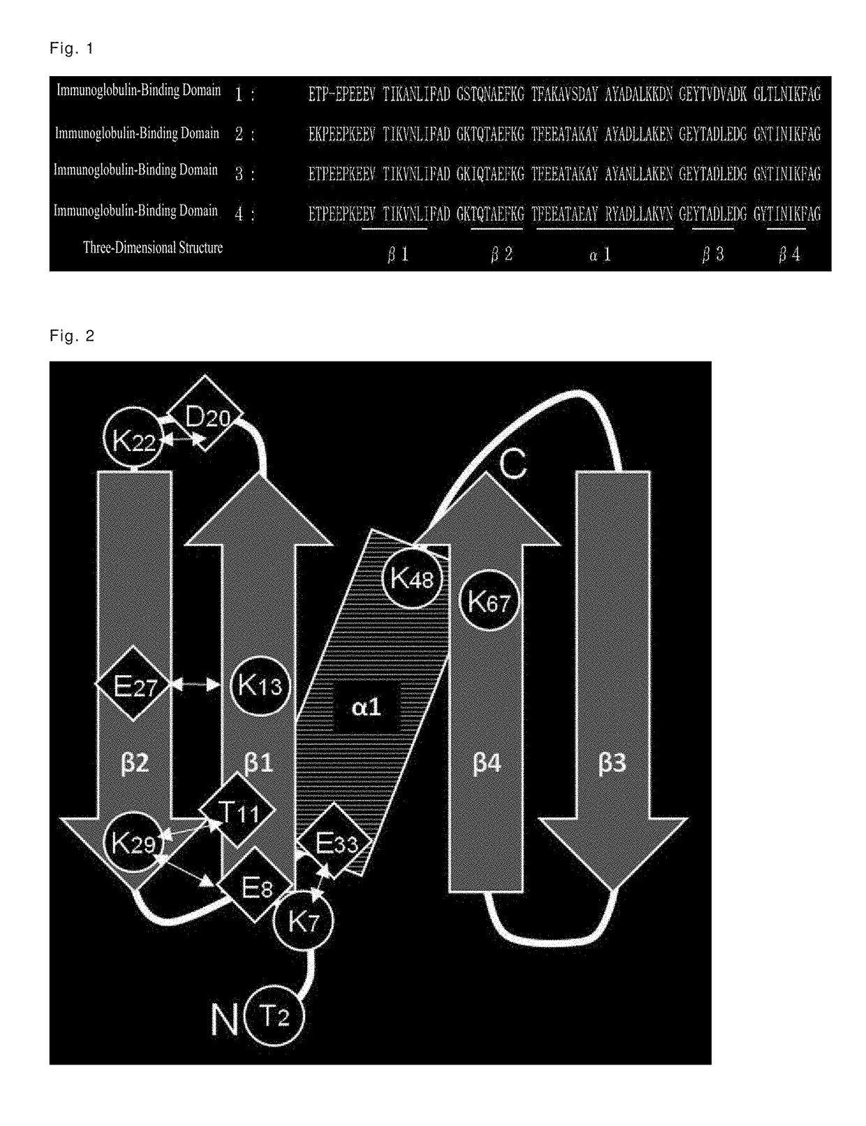 Immunoglobulin-binding polypeptide