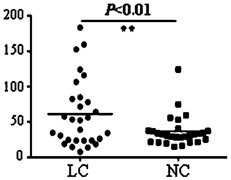 Application of ERP27 autoantibody detection reagent to preparation of lung cancer screening kit