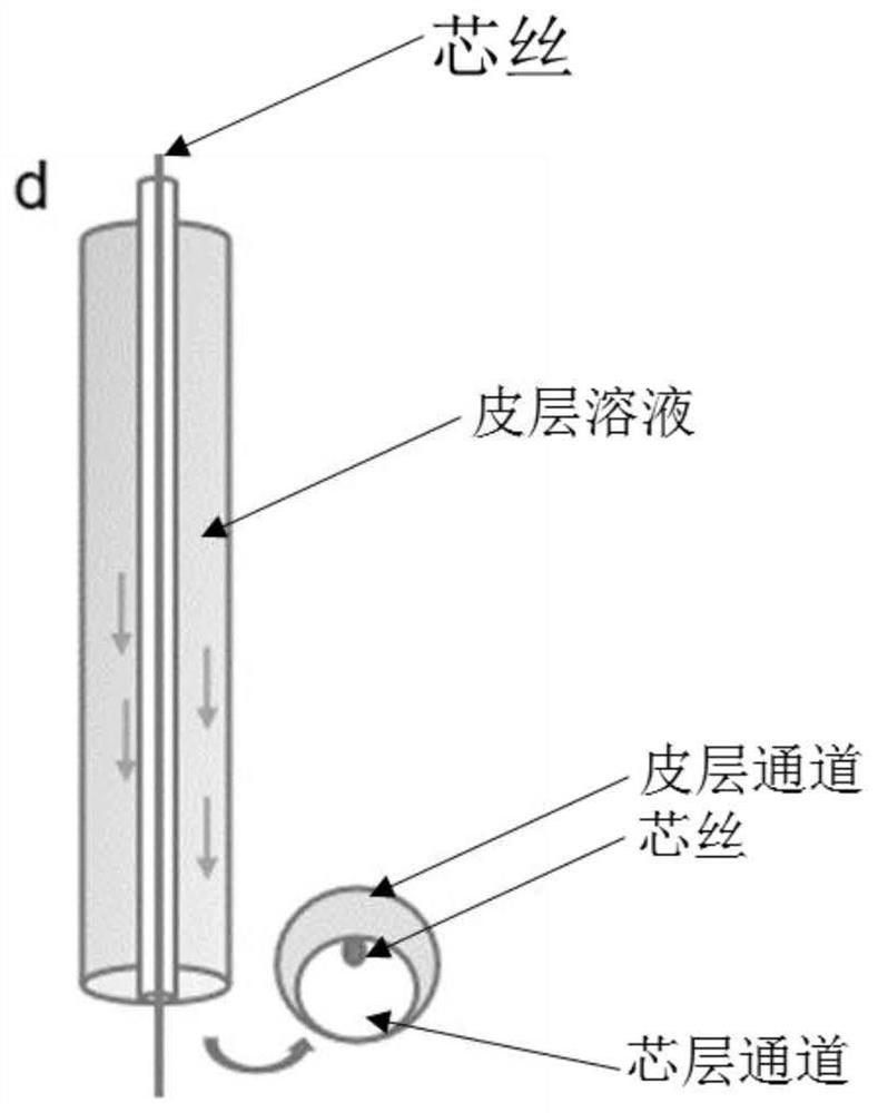 Elastic sheath-core fiber and preparation method thereof