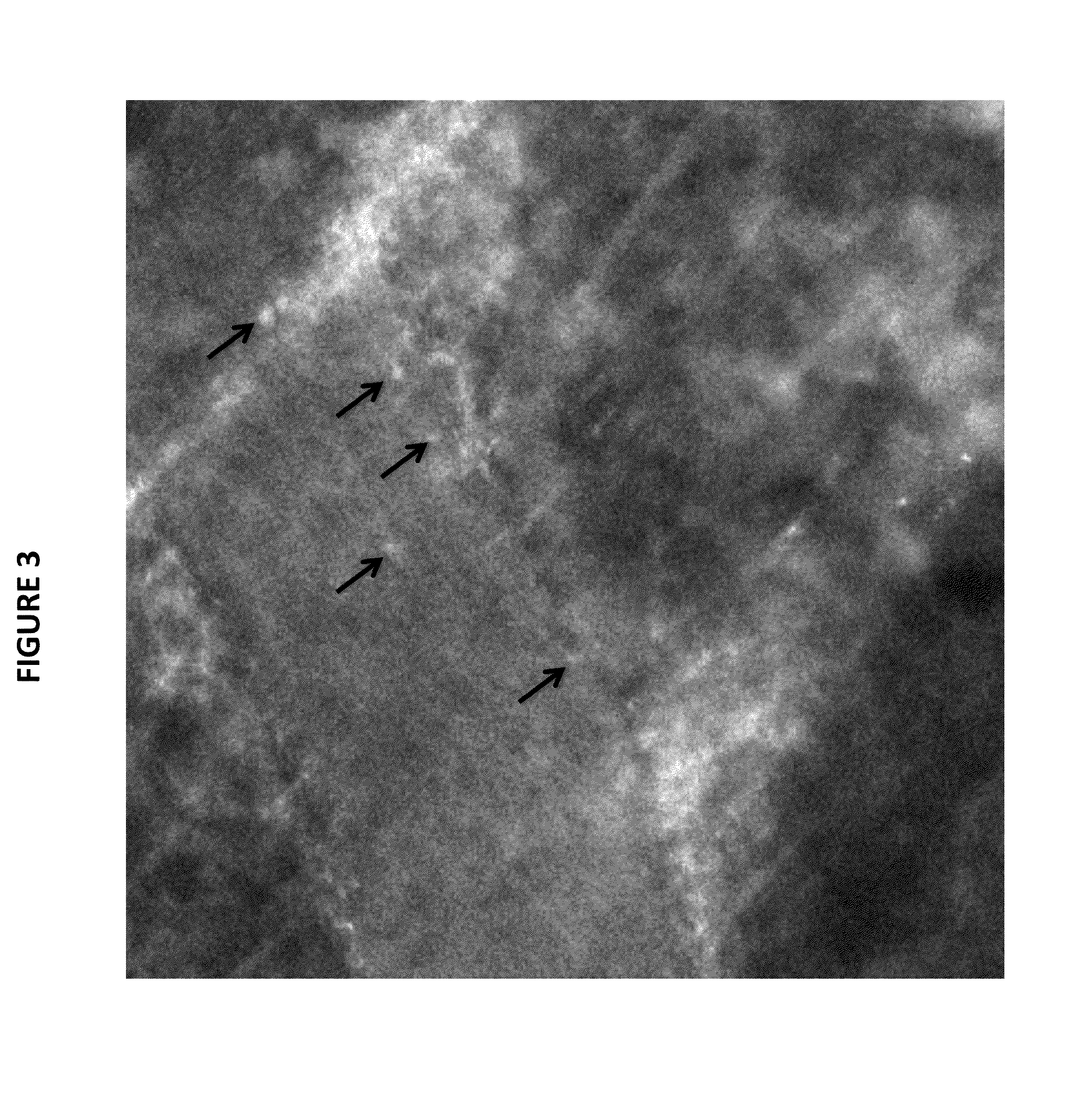 Carbon nanotubes for imaging and drug delivery