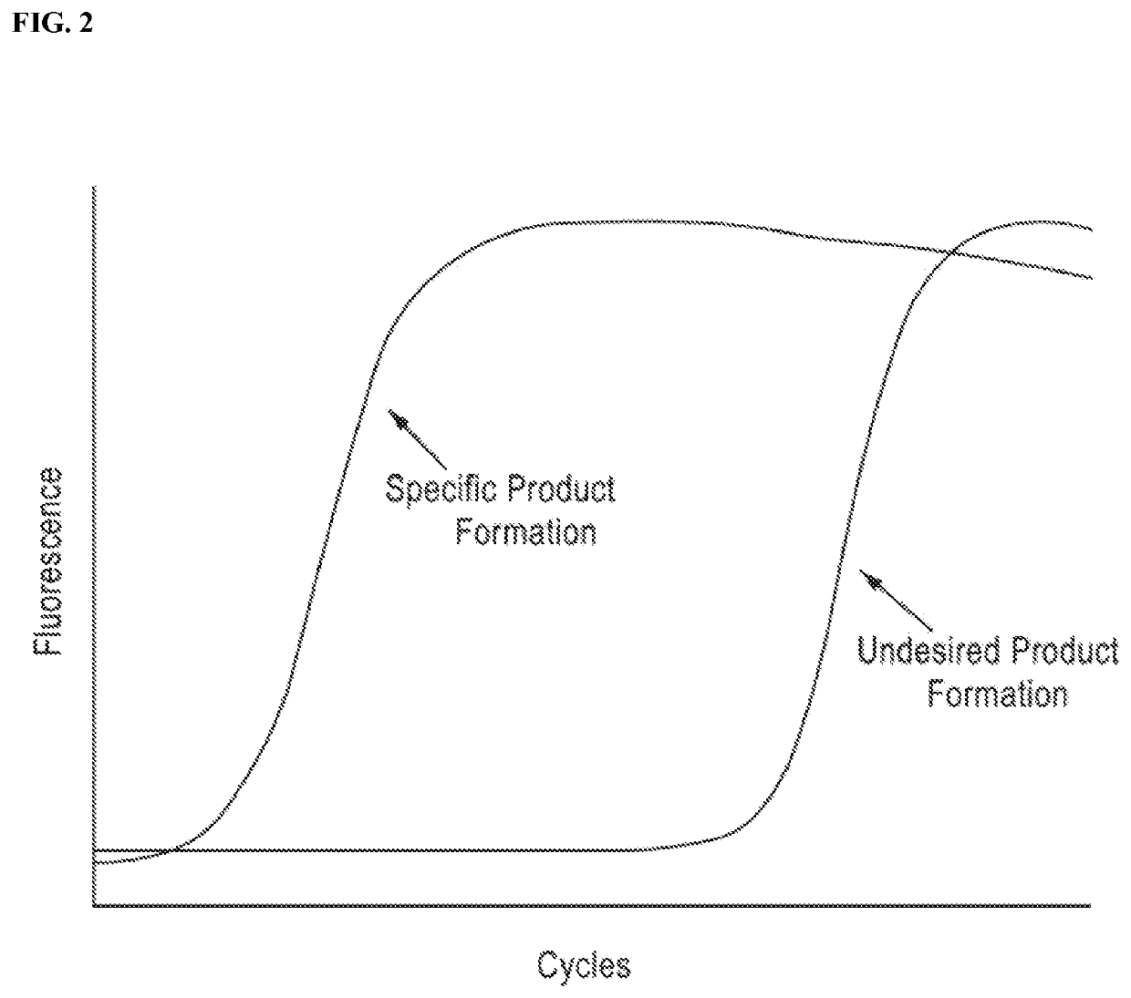 DNA amplification technology