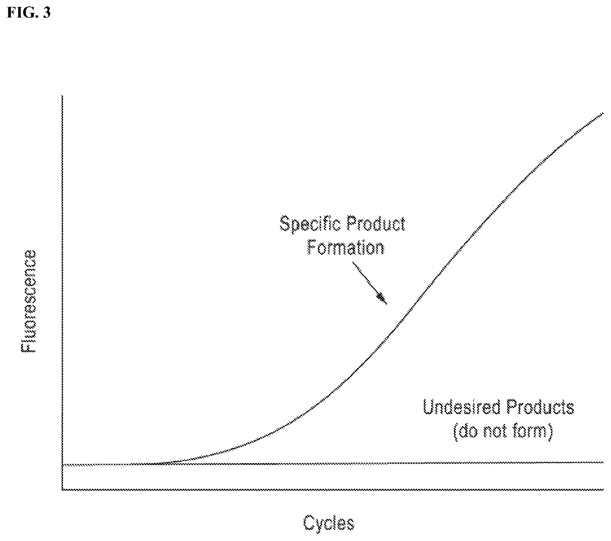 DNA amplification technology