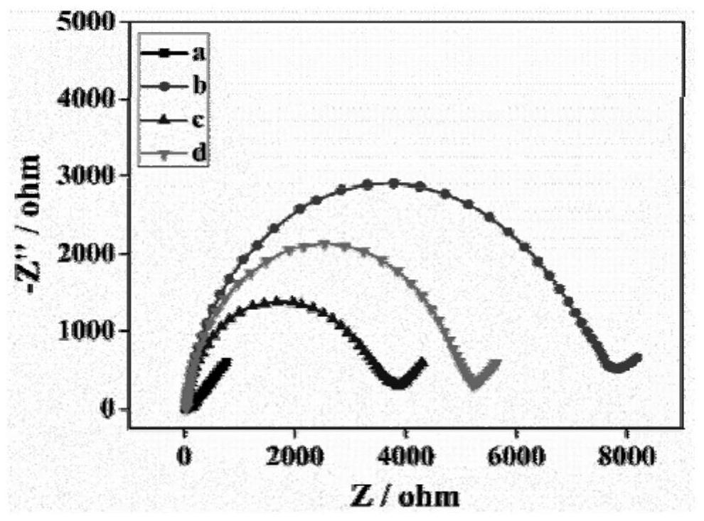 Preparation method of long-term anti-pollution electrochemical biosensor based on human serum albumin molecularly imprinted polymer gel