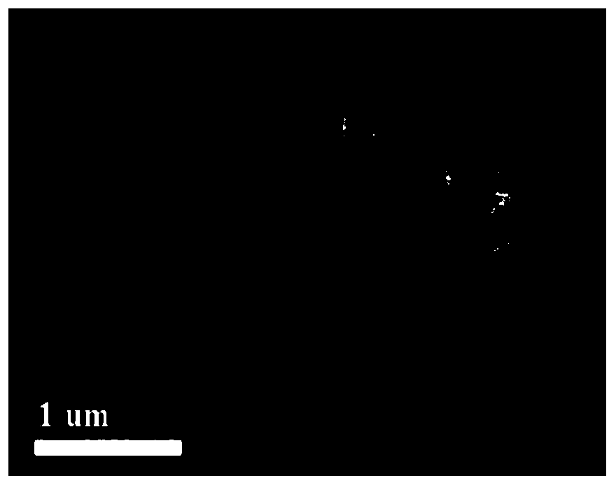 A preparation method and application of amorphous iron oxyhydroxide superparticles