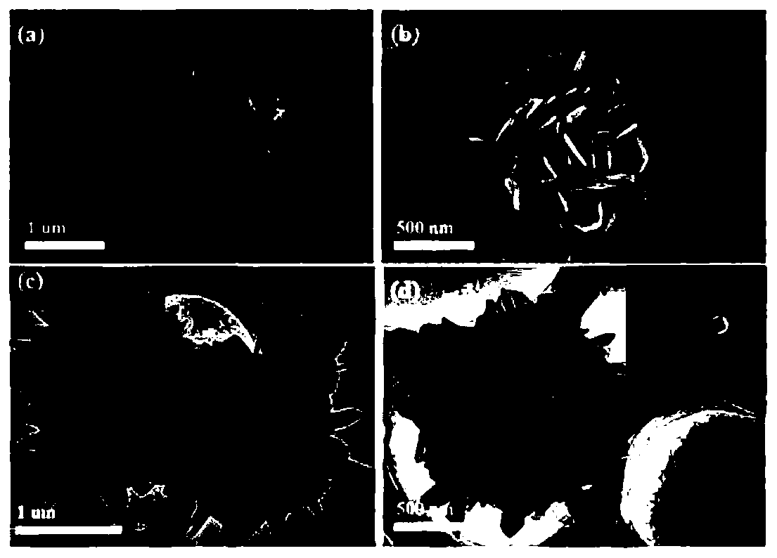 A preparation method and application of amorphous iron oxyhydroxide superparticles