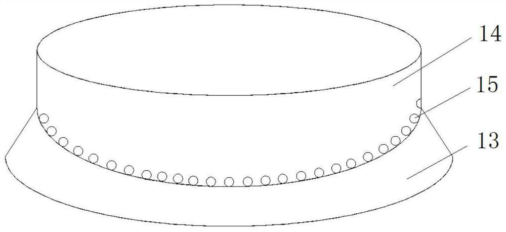 System and method for making duck and goose feed