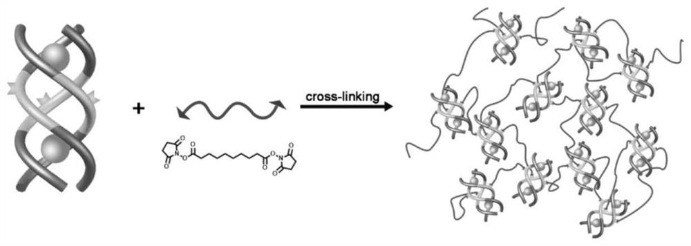 Anion coordination self-assembly supramolecular gel synthesis method and application