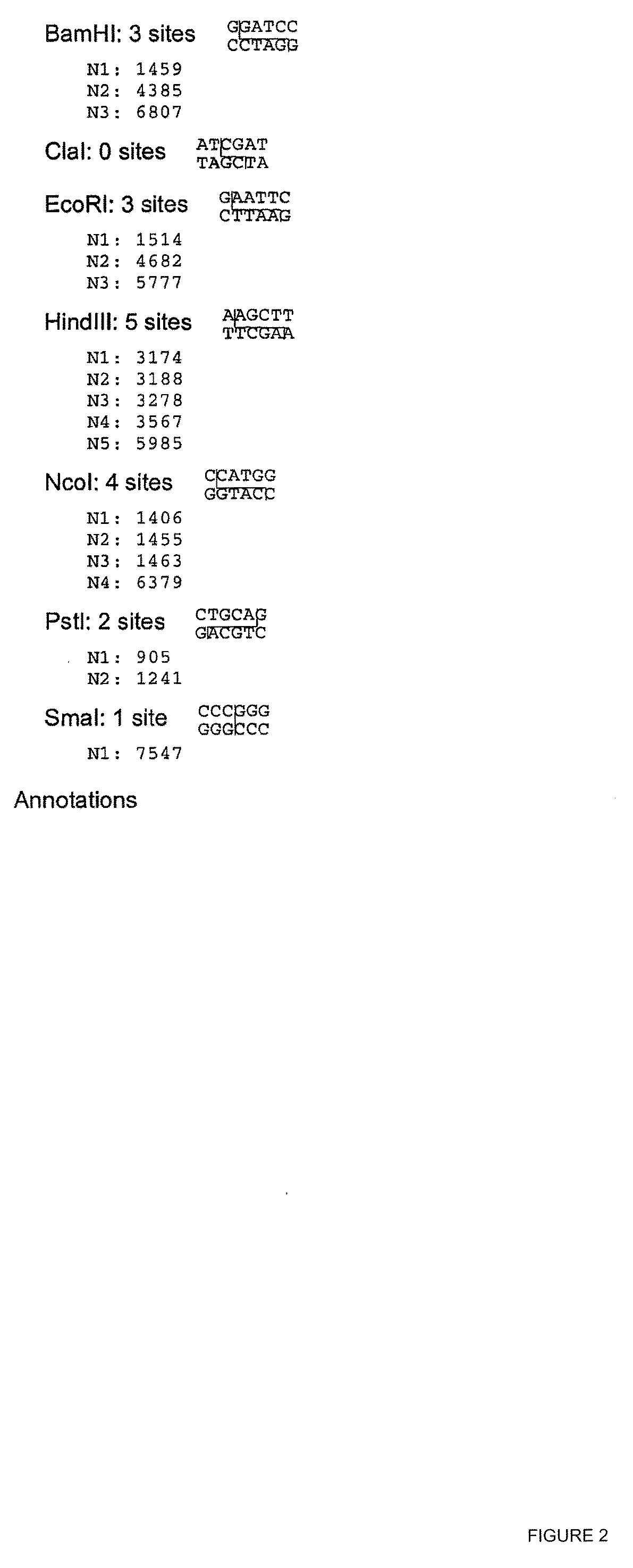 Methods and Compositions for Enhanced Yield by Targeted Expression of Knotted1