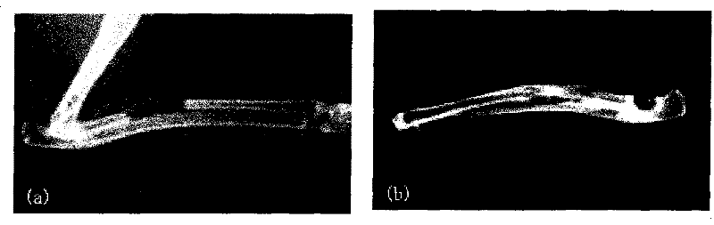 Bone repair material containing nano hydroxylapatite/collagen particle and preparation thereof