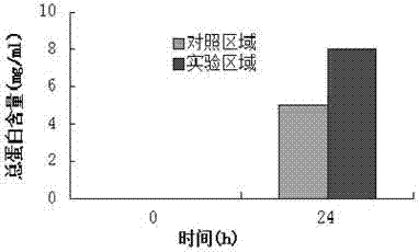 Enzyme unhairing assistant and preparation method thereof