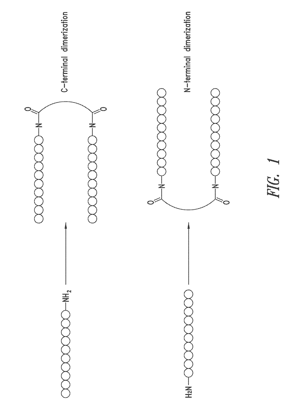 a4B7 integrin thioether peptide antagonists