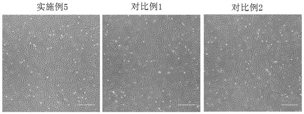 A kind of serum-free, protein-free and DMSO-free cell cryopreservation solution and application thereof