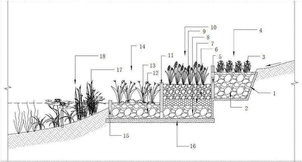 Multi-domain composite type initial rainwater collecting and purifying comprehensive ecological treatment system