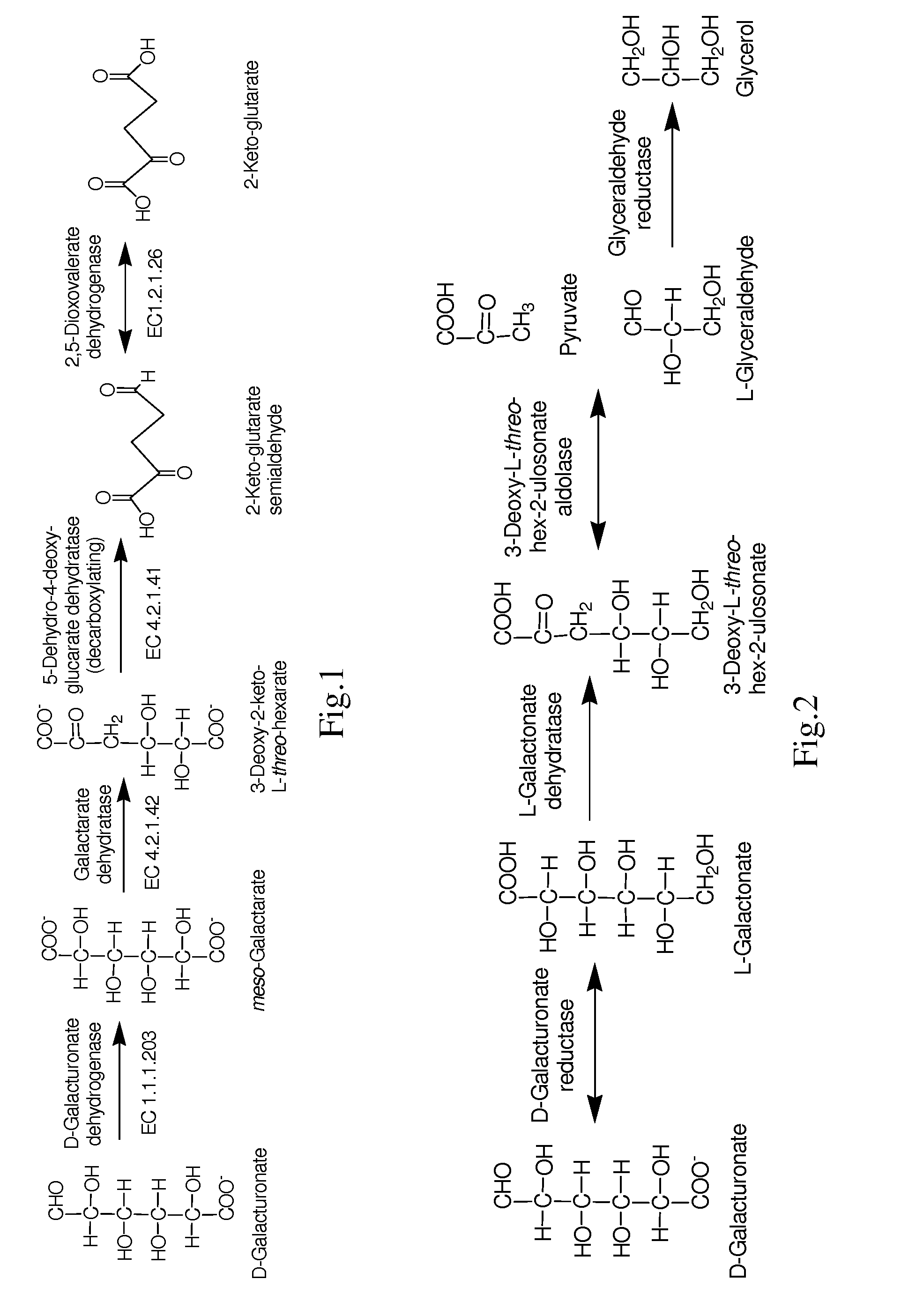 Conversion of hexuronic acid to hexaric acid