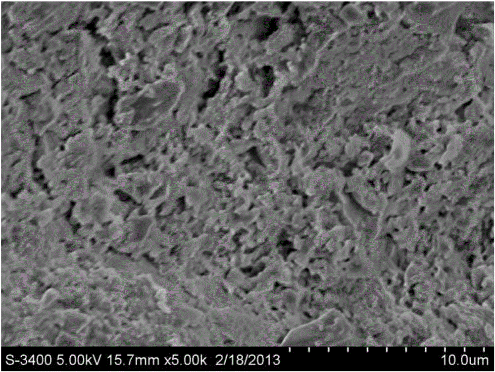 A kind of copolymer of epoxy resin and unsaturated resin and its application