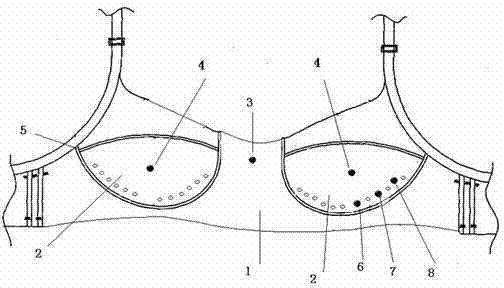 Health-care bra for nourishing breast and shaping breast