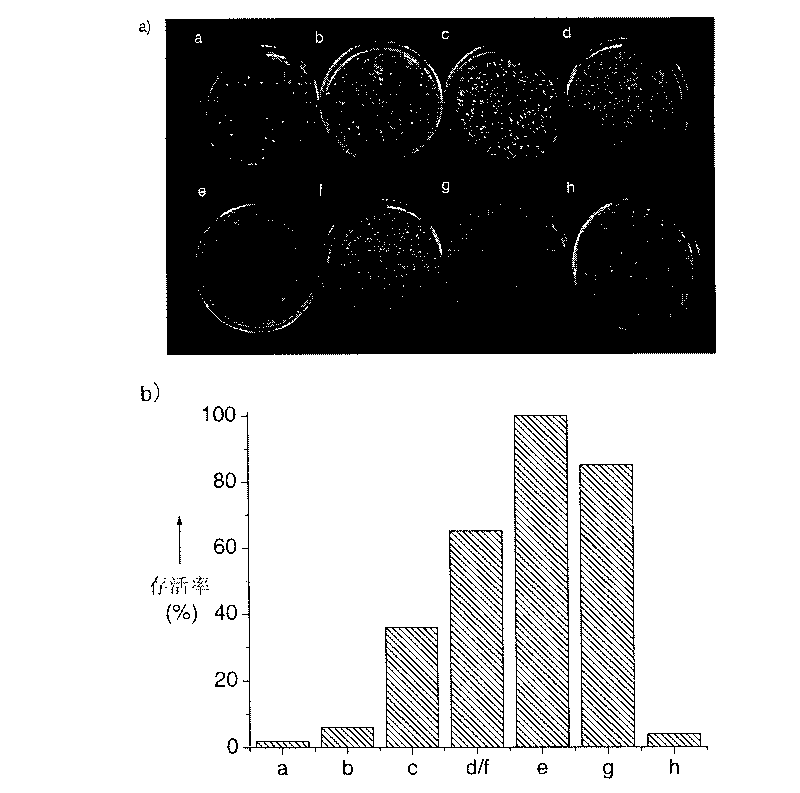 Method for quantum dot improvement and synchronous monitoring of antibacterial performance of ceftriaxone sodium