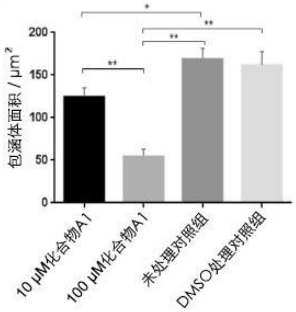 Use of peptidomimetic compounds in the preparation of drugs for inhibiting intracellular growth of Chlamydia trachomatis