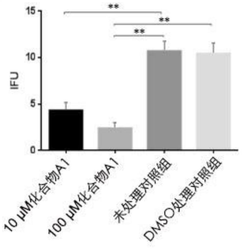 Use of peptidomimetic compounds in the preparation of drugs for inhibiting intracellular growth of Chlamydia trachomatis