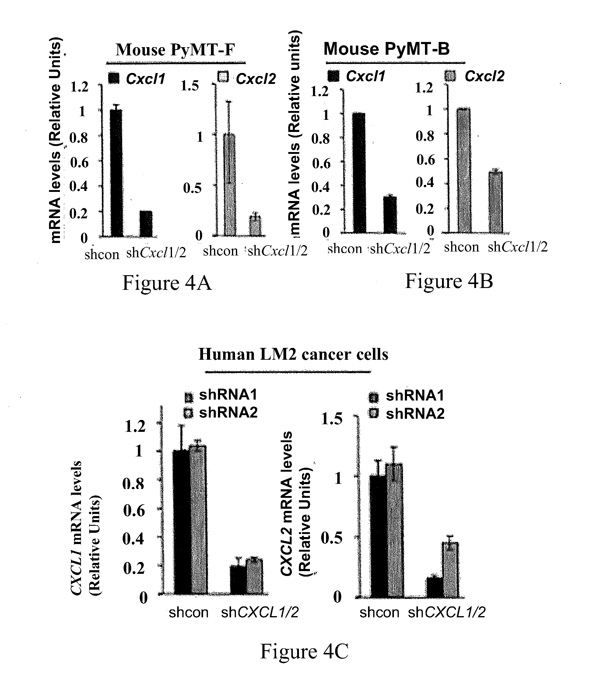 S100A8/A9 as a Diagnostic Marker and a Therapeutic Target