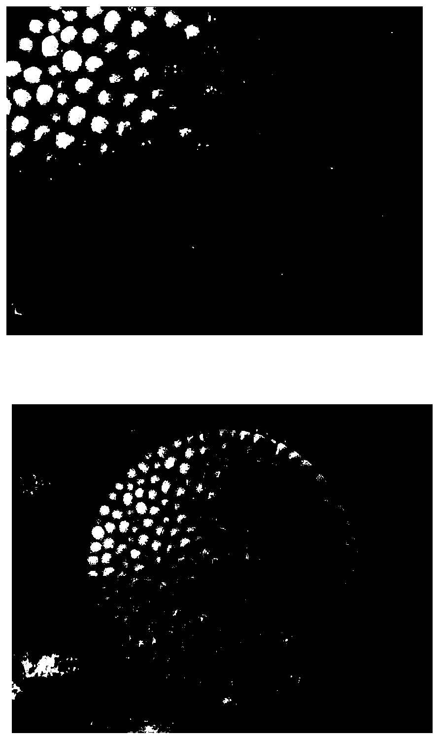 Preparation technology for double-layer fat slow-release microcapsule ball