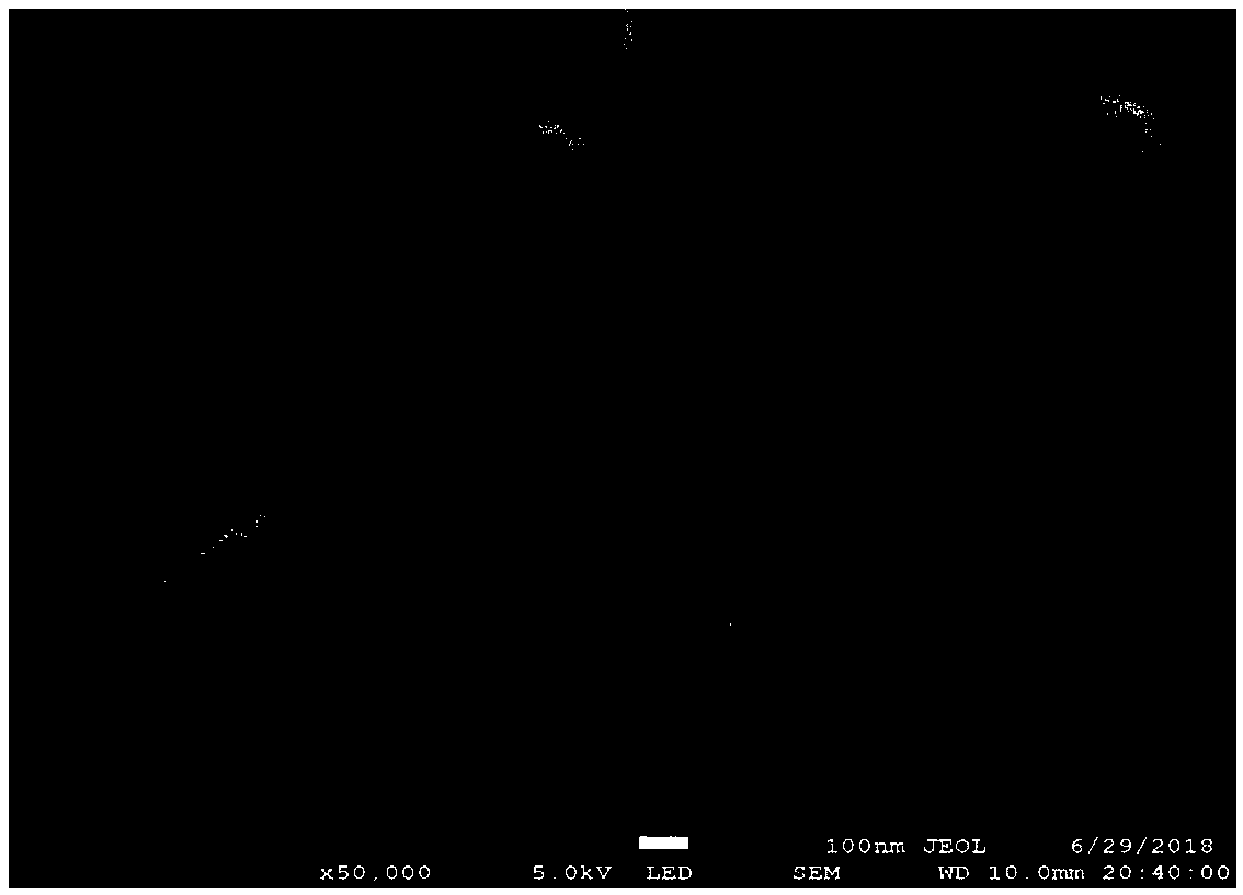 A perovskite solar cell and a preparation method thereof