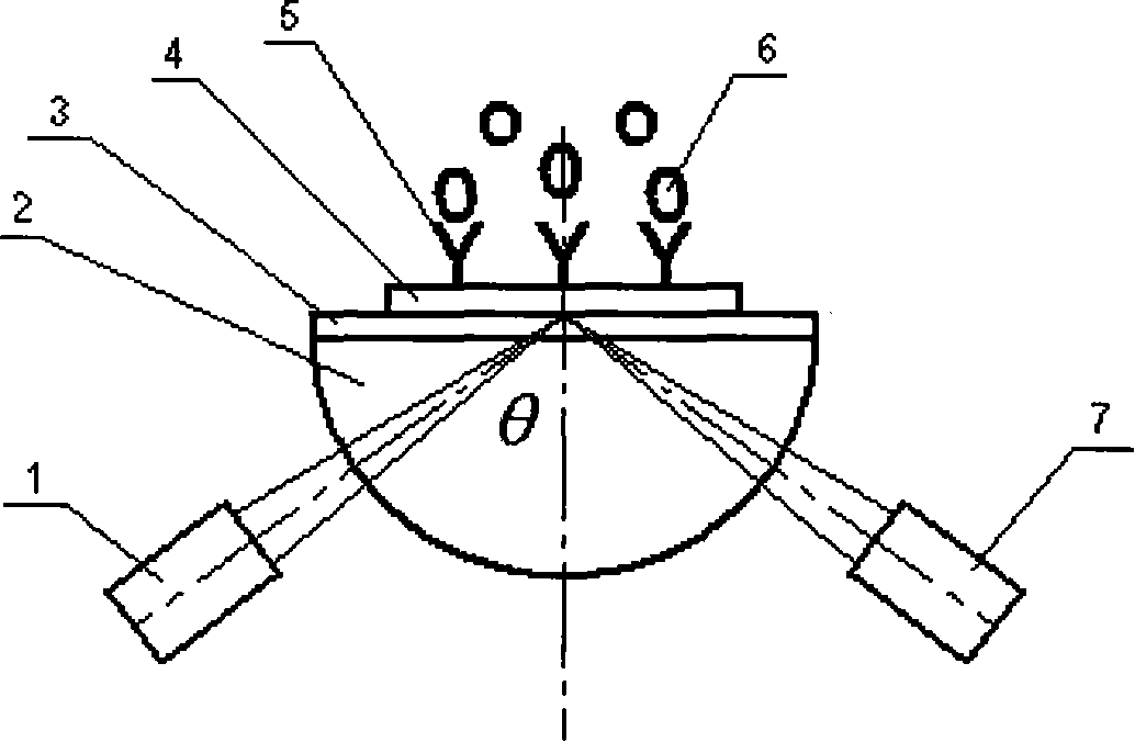 Linear light beam scanned surface plasma resonant imaging light intensity detection method and system