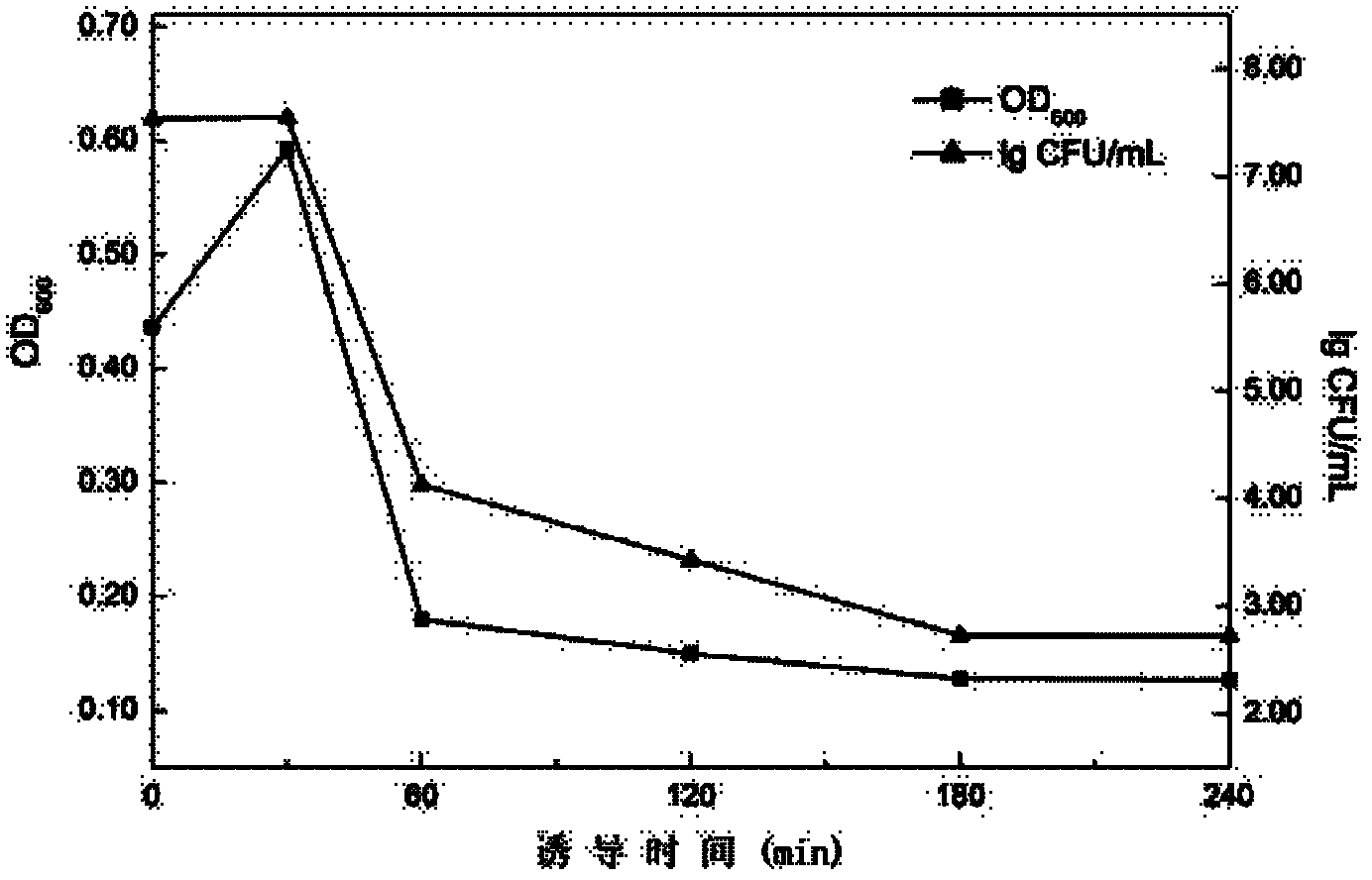 Chlorampenicol resistant temperature controlled lytic plasmid, its construction and application in bacterial ghost preparation