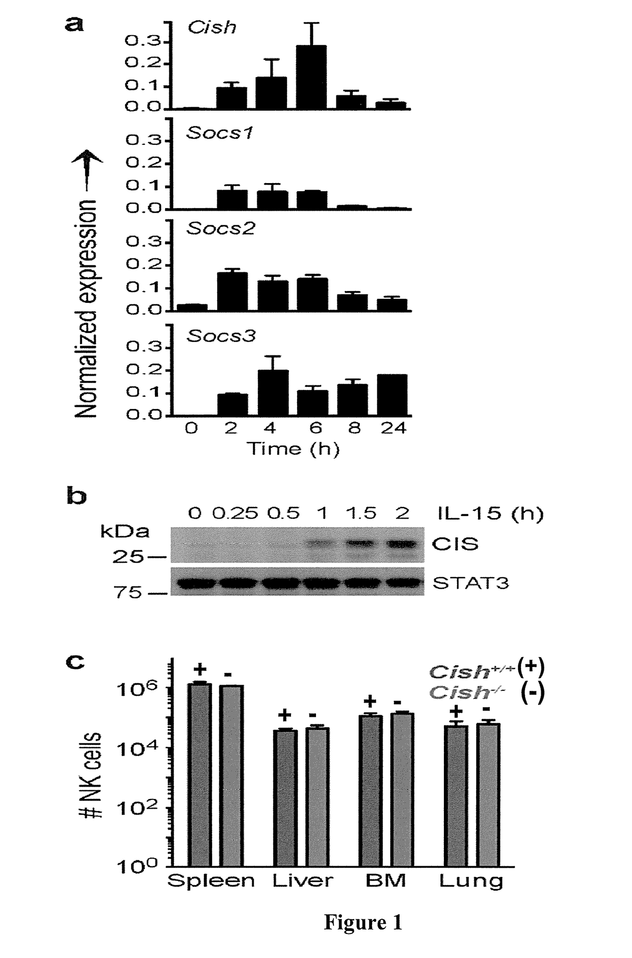Inhibition of Cytokine-Induced SH2 Protein in NK Cells