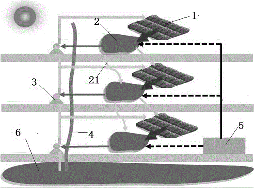 Construction method of multi-pond system for controlling agricultural non-point source pollution
