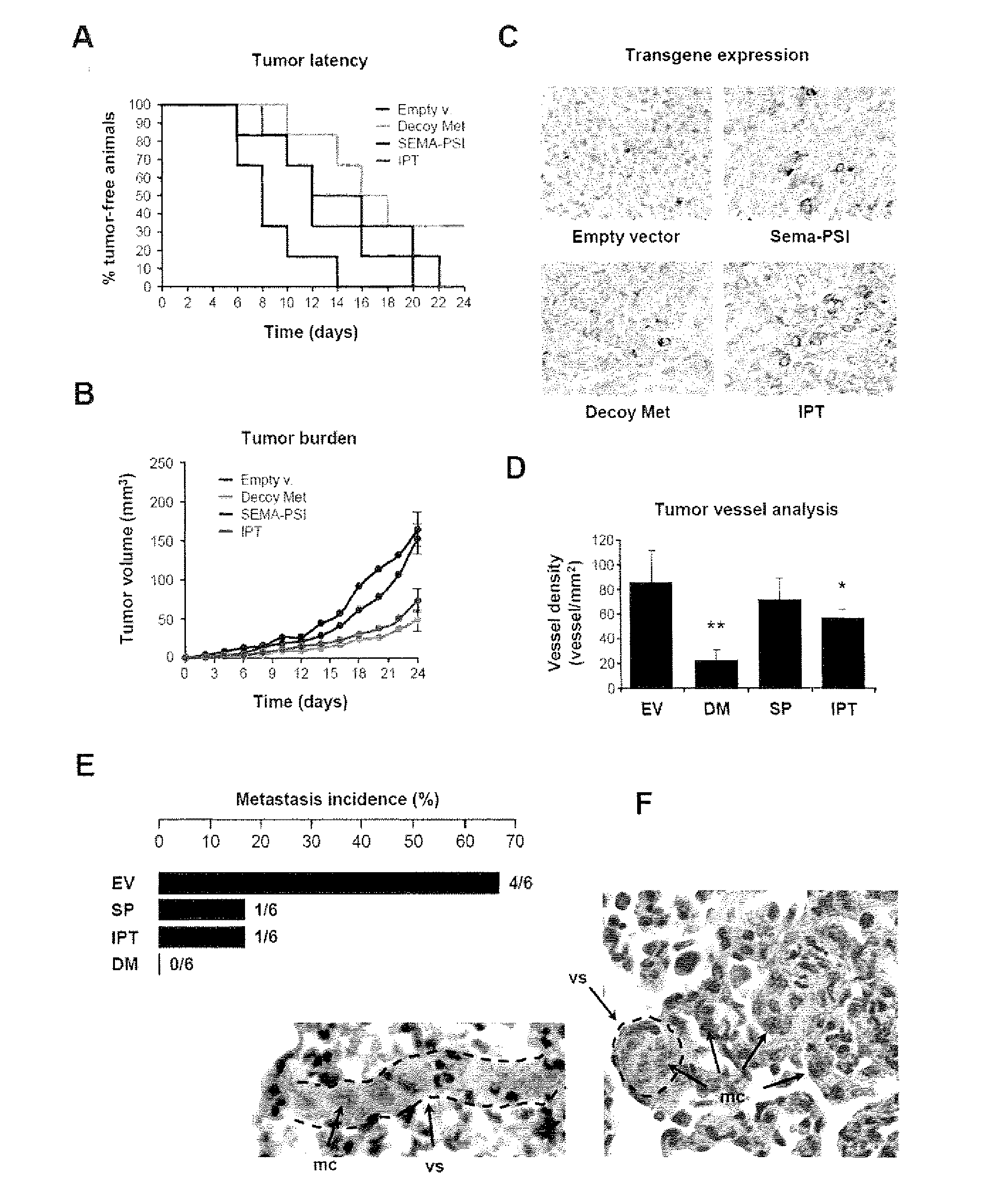 High affinity binding site of hgfr and methods for identification of antagonists thereof