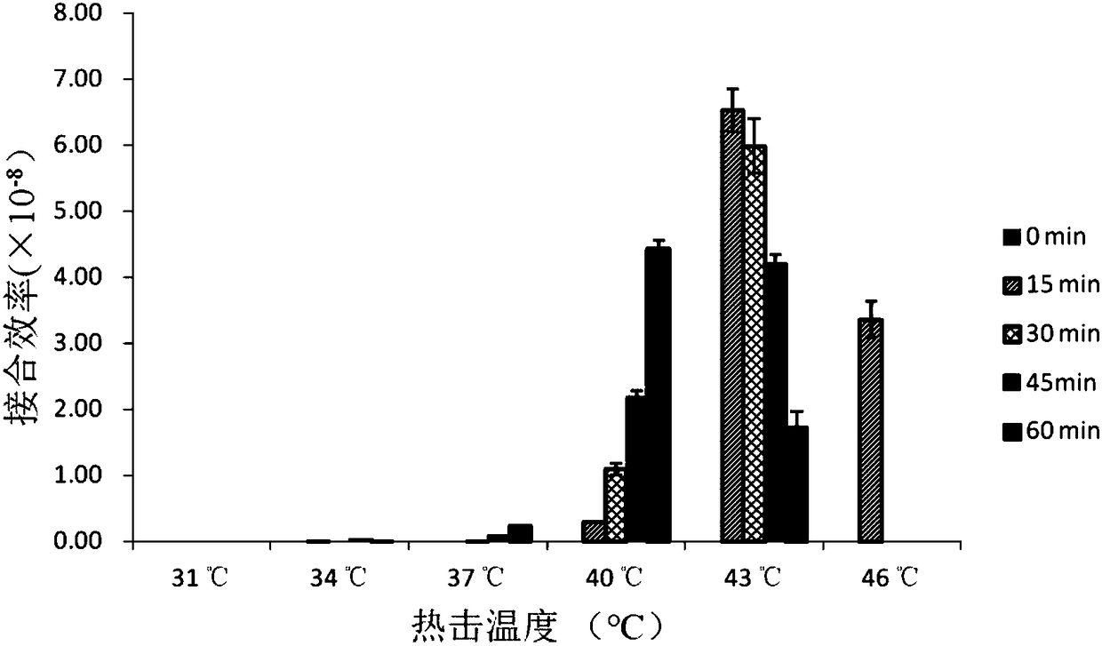 Method for improving genetic transformation of Vibrio harveyi