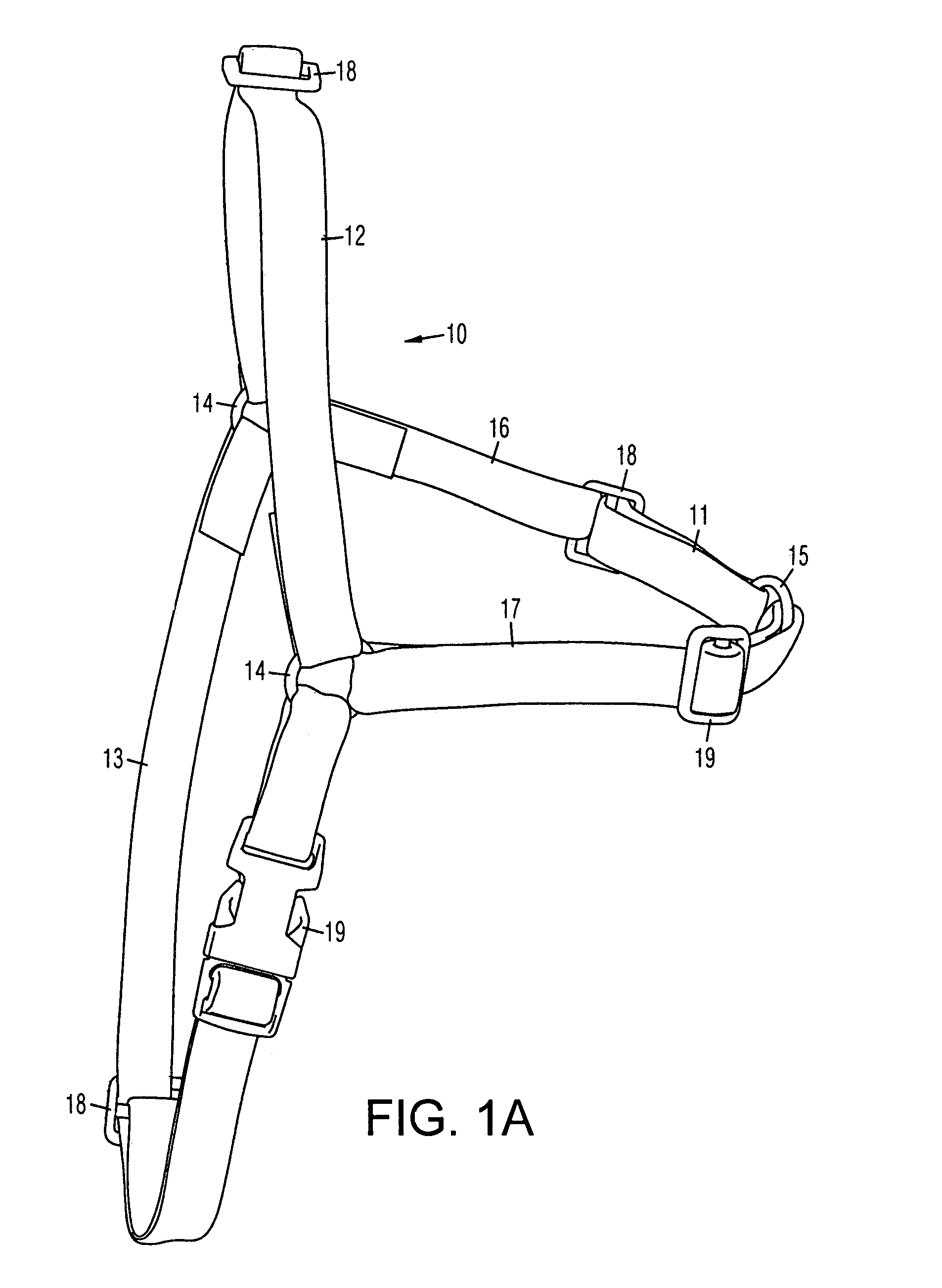 Animal training apparatus