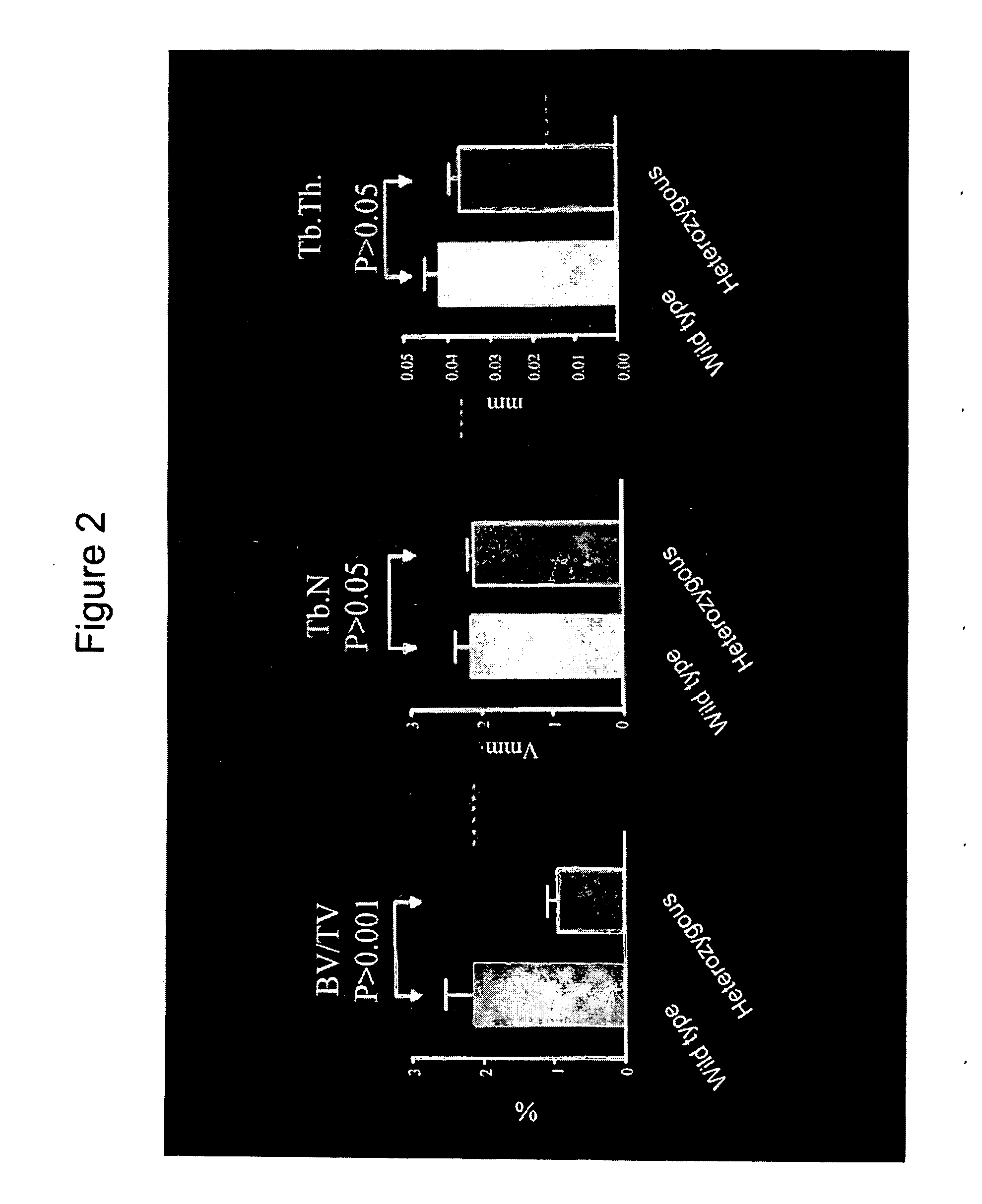 Pthrp-based prediction and diagnosis of bone disease