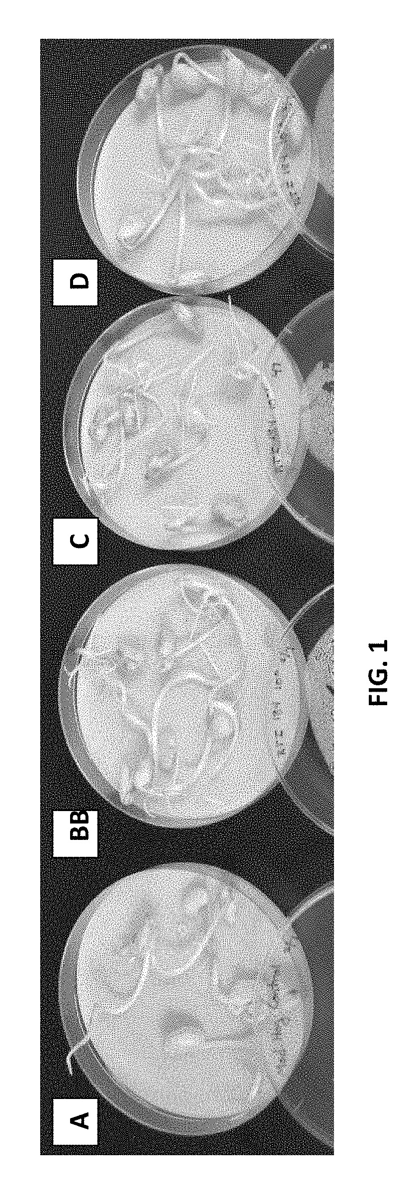 Bacillus licheniformis rti184 compositions and methods of use for benefiting plant growth
