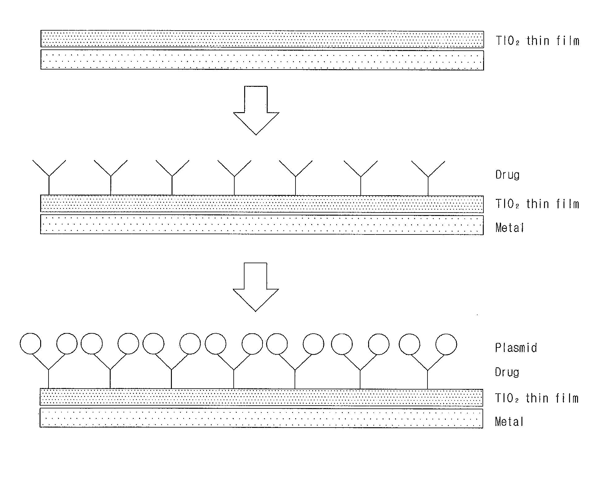 Gene Delivery Stent Using Titanium Oxide Thin Film Coating, and Method for Fabricating Same