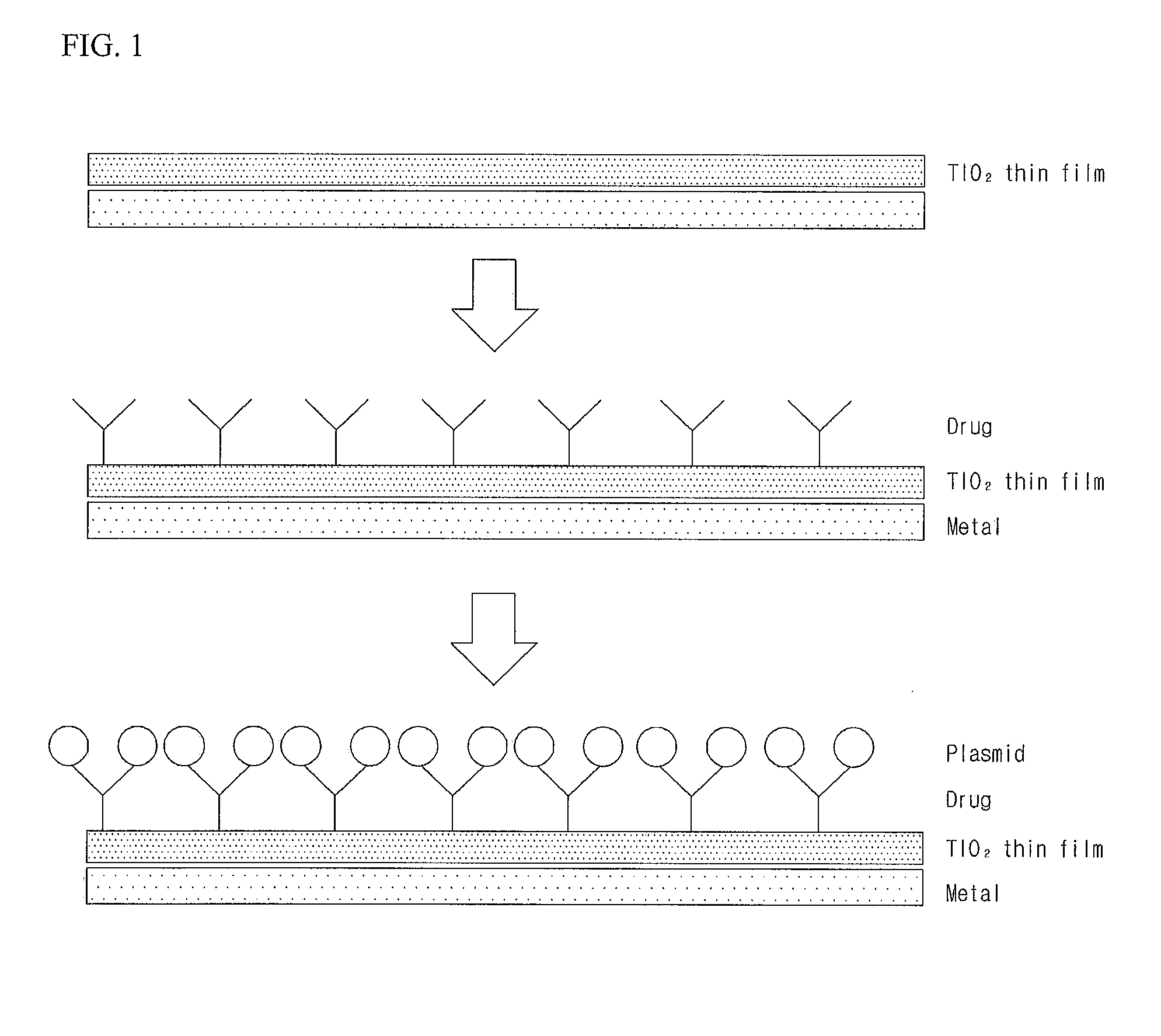 Gene Delivery Stent Using Titanium Oxide Thin Film Coating, and Method for Fabricating Same