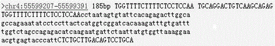 Primers and method for detecting c-kit gene mutation