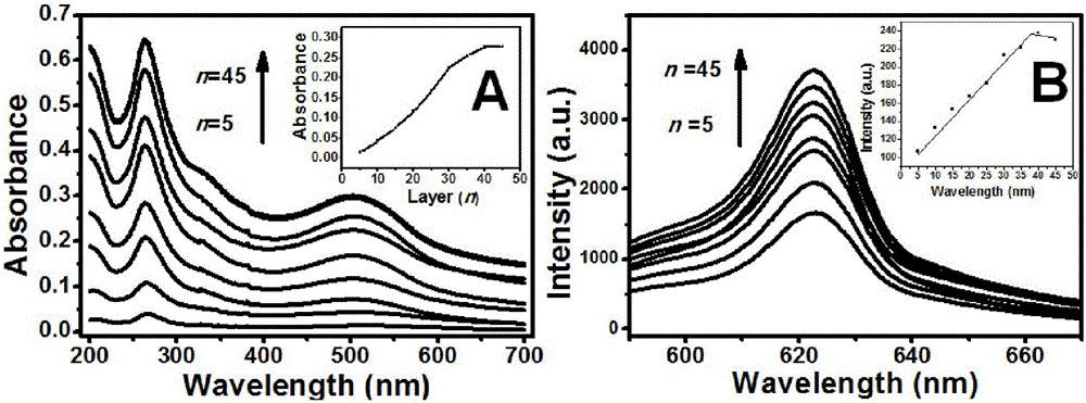 Tiopronin concentration determination fluorescence sensor and preparation method thereof