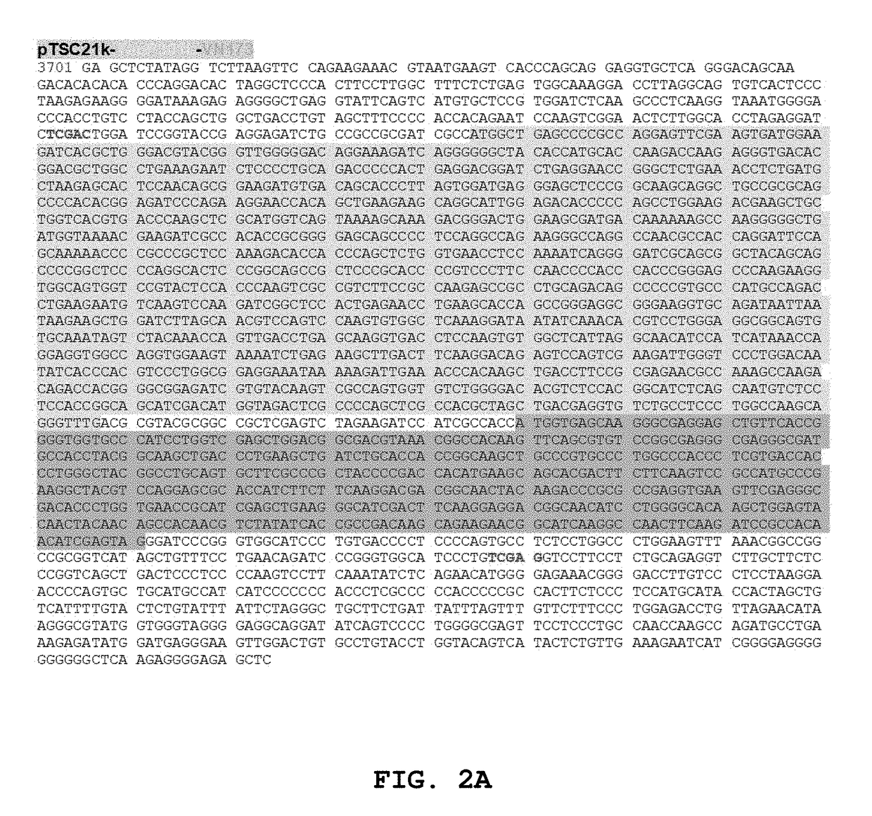Dementia model transgenic mouse and screening method using thereof