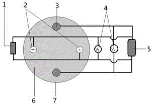 Carbon fiber electric field sensor structure and preparation method