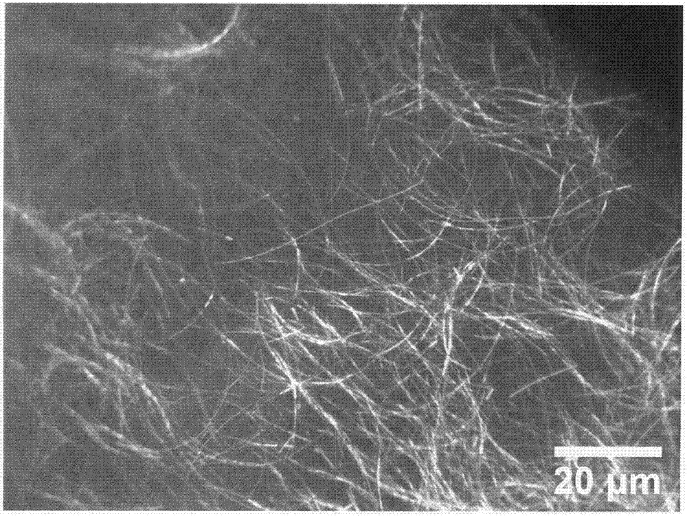 Method for preparing silver nanowires